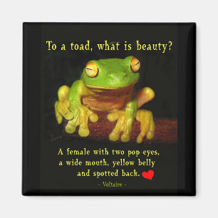 Frosch-Schönheit Magnet