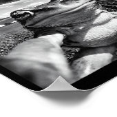 Frosch-Selfie mit UFO Lustiger Frosch Frosch Meme Poster (Ecke)