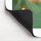 Frosch sitzend auf grünem Leaf Mousepad (Ecke)