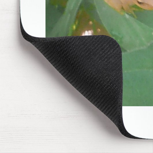 Frosch sitzend auf grünem Leaf Mousepad (Ecke)