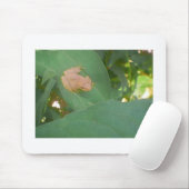 Frosch sitzend auf grünem Leaf Mousepad (Mit Mouse)