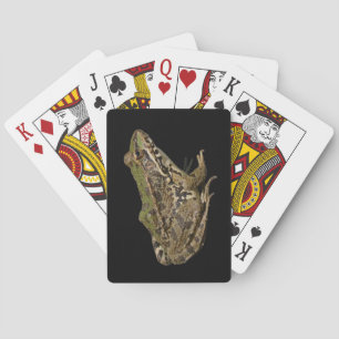Frosch Spielkarten