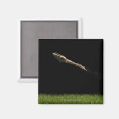 Frosch sprang von frisch grünem Gras Magnet (Vorderseite/Rückseite)