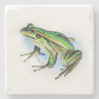 Frosch Steinuntersetzer