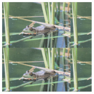 Frosch Stoff
