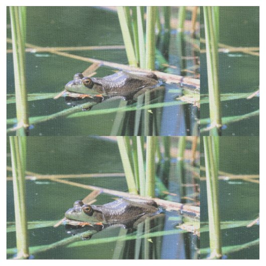 Frosch Stoff (Nahaufnahme)