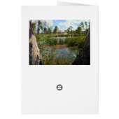 Frosch-Sumpf-Paradies Riverland Australien, Geburt (Hinten)