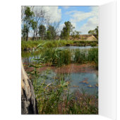 Frosch-Sumpf-Paradies Riverland Australien, Geburt (Innen (Links))