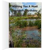 Frosch-Sumpf-Paradies Riverland Australien, Geburt (Innen (Rechts))