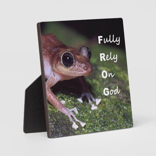 Frosch Tabletop Plaque mit Easel Fotoplatte (Vorderseite)