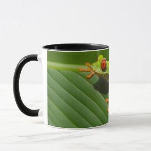 Frosch Tasse