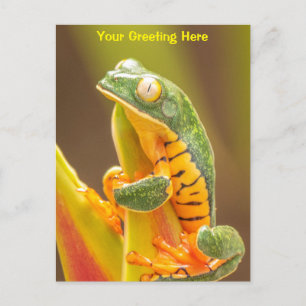 Frosch   Tiger Leg Monkey Tree Personalisiert Postkarte