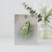 Frosch / Toad Postkarte (Stehend Vorderseite)