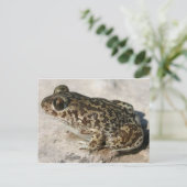 Frosch / Toad Postkarte (Stehend Vorderseite)