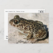 Frosch / Toad Postkarte (Vorne/Hinten)