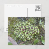 Frosch / Toad Postkarte (Vorne/Hinten)