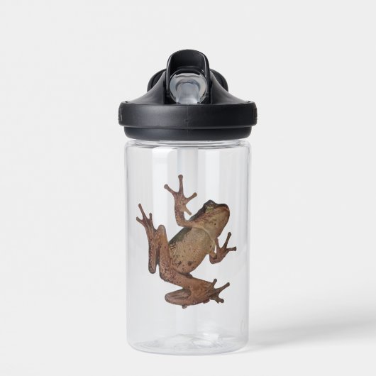 Frosch Trinkflasche (Vorne)