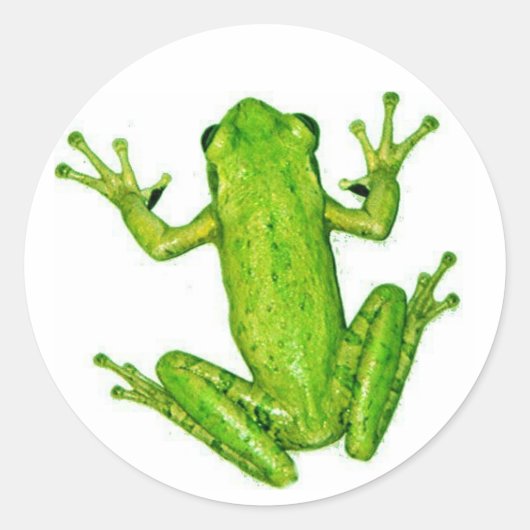 Frosch Tropischer Regenwald Froschsticker Art Runder Aufkleber (Vorderseite)