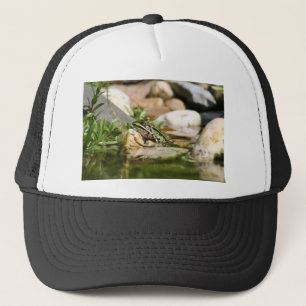 Frosch Truckerkappe