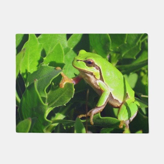 Frosch-Tür-Matte Fußmatte (Vorderseite)