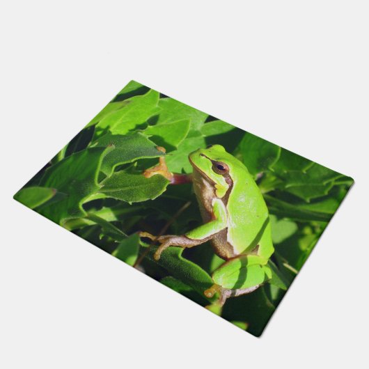 Frosch-Tür-Matte Fußmatte (Schrägansicht)
