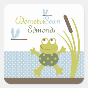 Frosch- und Dragonfly-Babydusche Quadratischer Aufkleber