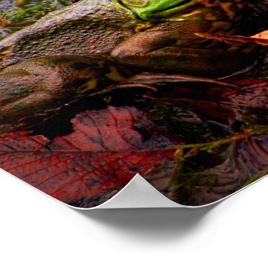 Frosch und Farben Poster (Ecke)
