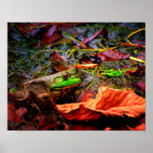 Frosch und Farben Poster (Vorne)