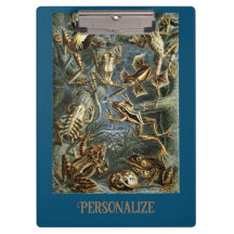 Frosch und Frosch Ernst Haeckel vintage