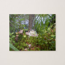 Frosch-und Klotz-kompaktes Puzzlespiel