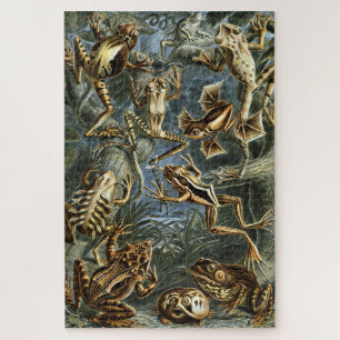 Frosch und Kröte Ernst Haeckel vintage Puzzle