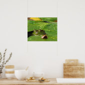Frosch- und Lily-Pads Poster (Küche)