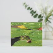 Frosch- und Lily-Pads Postkarte (Stehend Vorderseite)