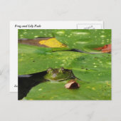 Frosch- und Lily-Pads Postkarte (Vorne/Hinten)