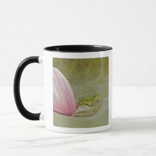 Frosch und Lotusblütenblatt, China, Tasse