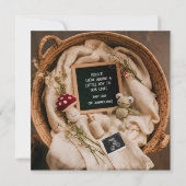 Frosch- und Pilzzeremonie - Ankündigung der Schwan (Vorderseite)