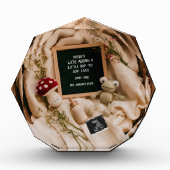 Frosch- und Pilzzeremonie - Ankündigung der Schwan Fotoblock (Vorderseite)