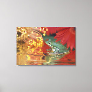 Frosch und Spiegelungen zwischen Blumen. Bildnachw Leinwanddruck