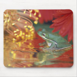 Frosch und Spiegelungen zwischen Blumen. Bildnachw Mousepad