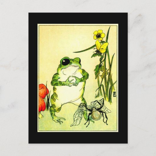 Frosch und Spinne Postkarte (Vorderseite)