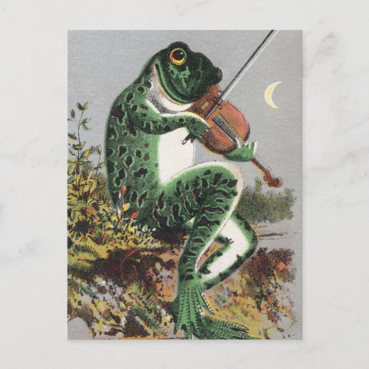 Frosch Violine Vintage Postkarte spielen (Vorderseite)