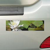 Frosch-Wasser-Lilien-Blumen-Foto-Autoaufkleber Autoaufkleber (Auf Auto)