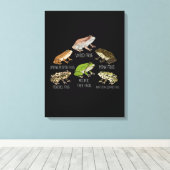 Froschart Frosch Rassen Amphibien Frösche Leinwanddruck (Insitu (Holzboden))