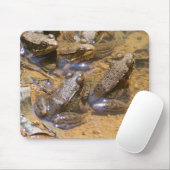Froschauflage Mousepad (Mit Mouse)