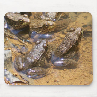 Froschauflage Mousepad