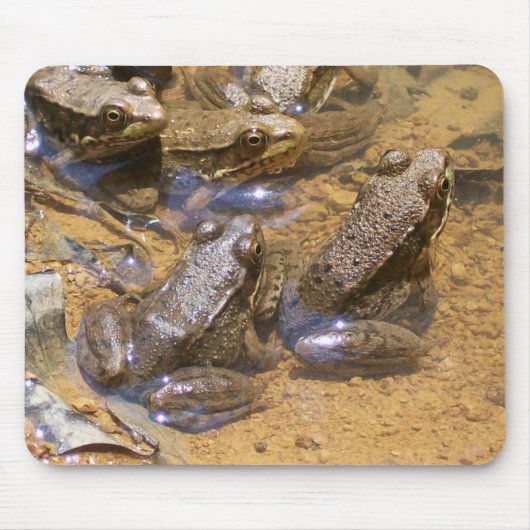 Froschauflage Mousepad (Vorne)