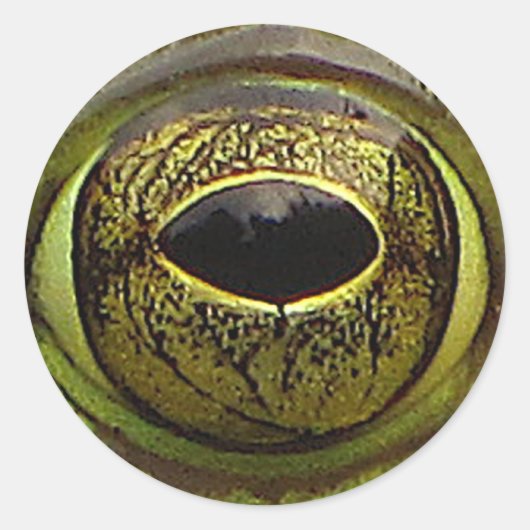 Froschauge Runder Aufkleber (Vorderseite)
