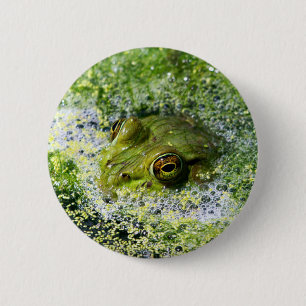 FroschAugen Button