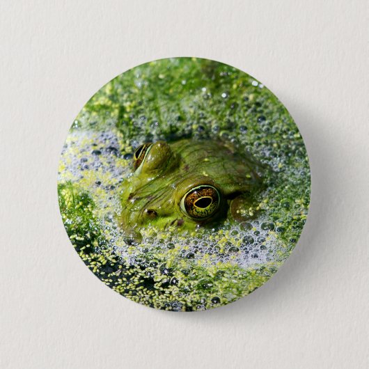 FroschAugen Button (Vorderseite)