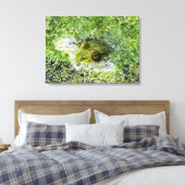 FroschAugen Leinwanddruck (Insitu (Schlafzimmer))